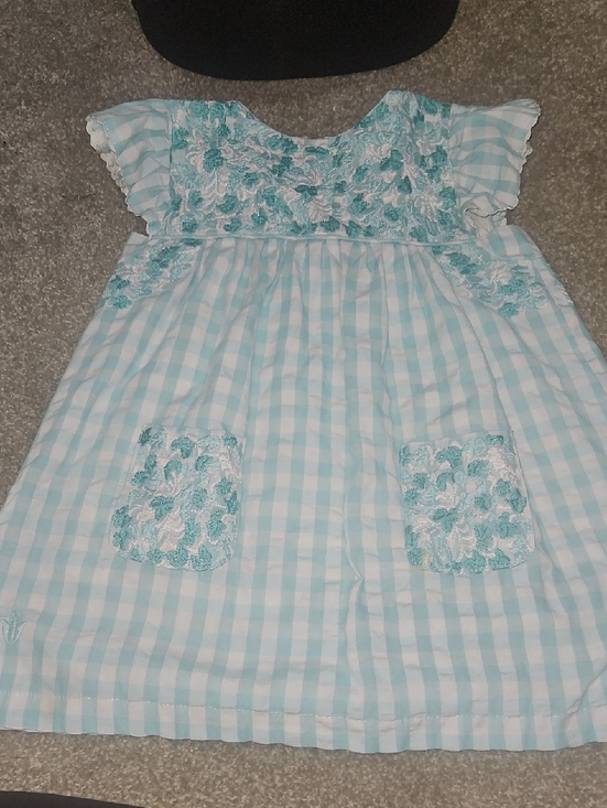 J.Marie Other - Girls' Light Blue Gingham Casual Dress with Floral Embroidery